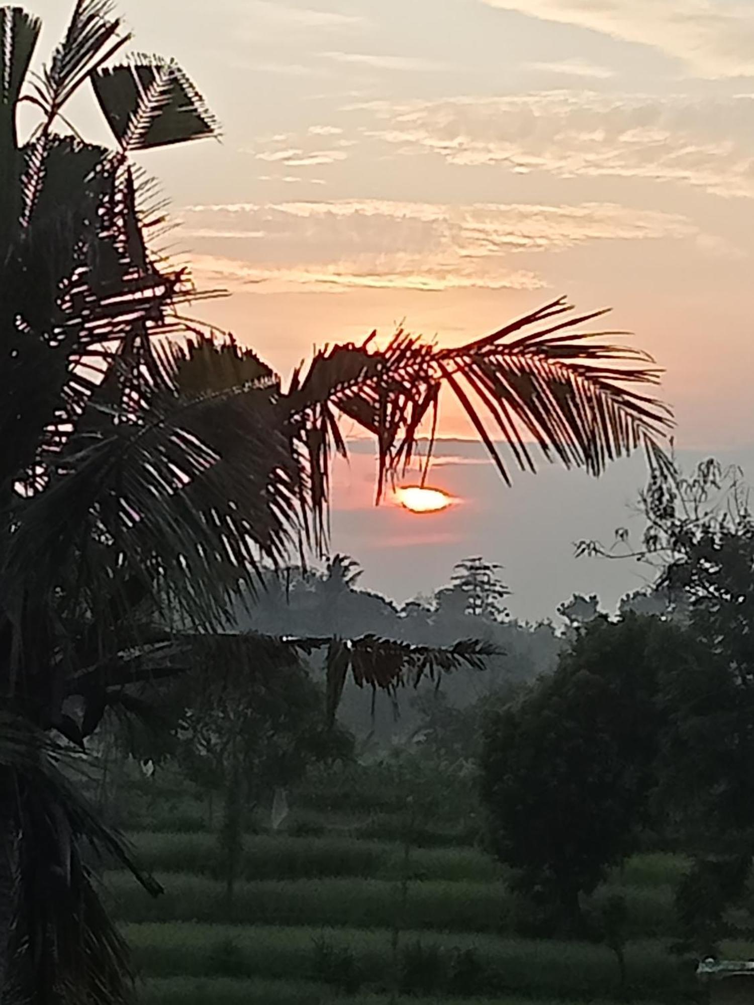 Bulan Homestay Plambi Buitenkant foto