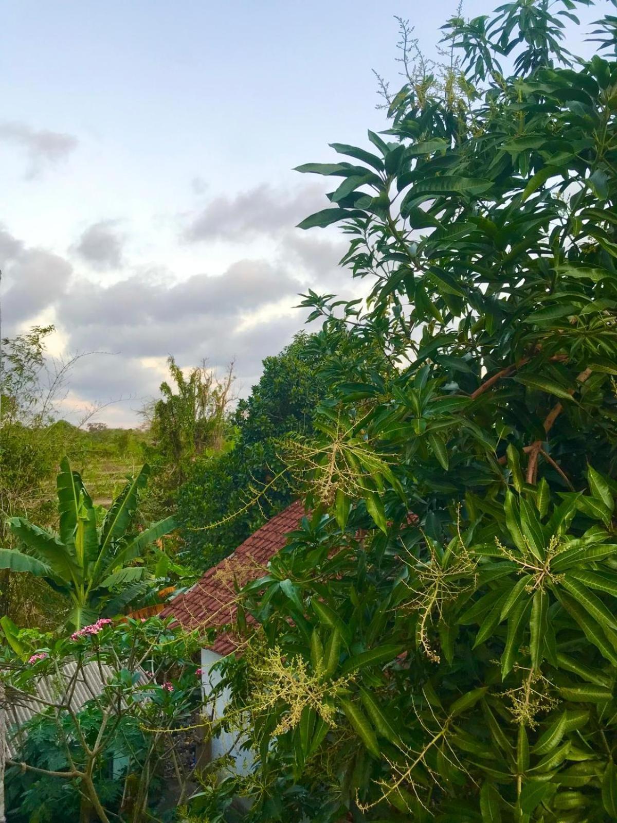 Bulan Homestay Plambi Buitenkant foto